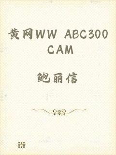 黄网WW ABC300 CAM